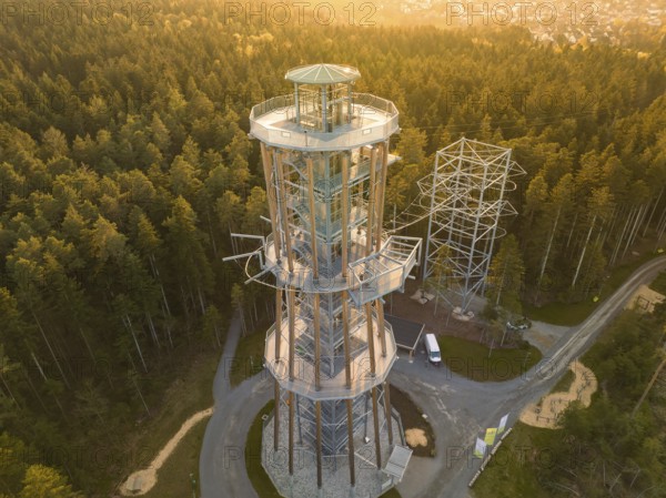 Observation tower in a thick forest with golden light late in the afternoon, Himmelsglück
