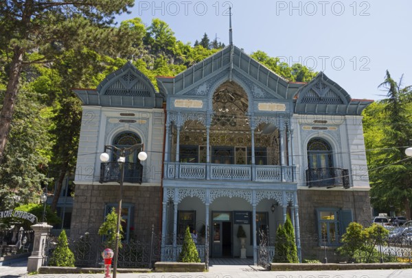 Historic blue building with abundant decorations and trees in the foreground, old villa villa of