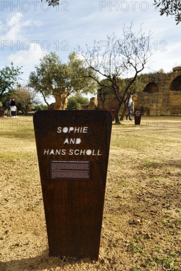 Memorial plaque, stele for Sophie and Hans Scholl and the White Rose, resistance group against the