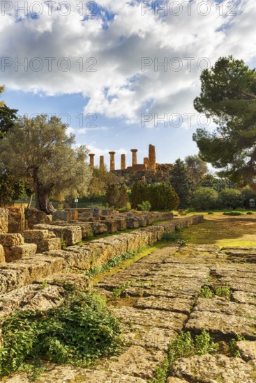 Ruins, Temple of Olympian Zeus, Altar, Valley of the Temples, Agrigento, Sicily, Italy