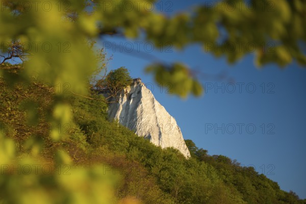 View of chalk cliffs in Jasmund National Park on Rügen, Sassnitz, Rügen, Mecklenburg-Western