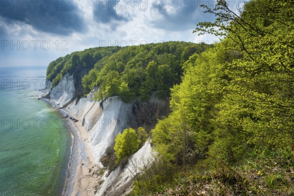 Ernst-Moritz-Arndt view on the chalk coast on Rügen, Rügen, Sassnitz, Mecklenburg-Western