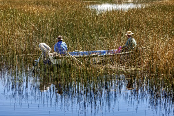 Two fishermen in a boat surrounded by reeds on a calm body of water in a natural setting, The