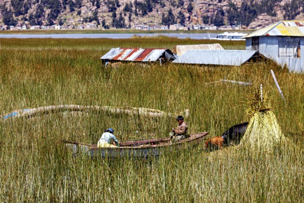 Children in a boat on a vast sea of reeds surrounded by huts in a rural setting, The floating reed