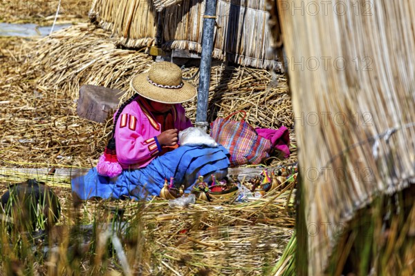 A woman in traditional traditional costume works in a reed area, The floating reed islands of the