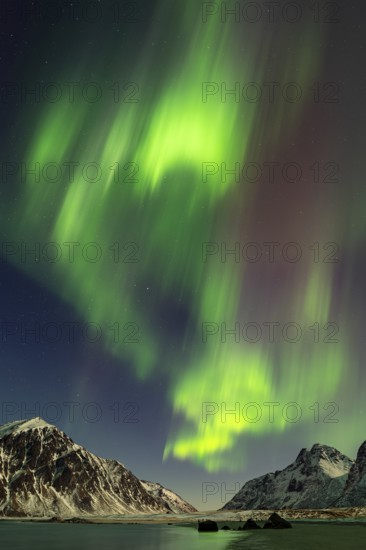 Aurora over the mountains and sea of Lofoten, Northern Lights, Northern Lights, Landscape, Leknes,