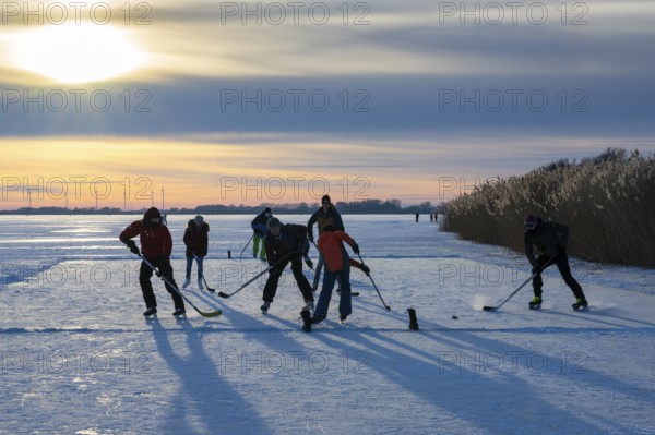 Skating, ice hockey men playing on the frozen Dümmer See, Winter at Dümmer, Eickhöpen, Lembruch,