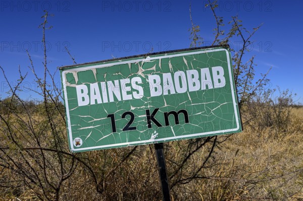 Sign Baines Baobabs, Nxai-Pan National Park, near Gweta, Central District, Botswana