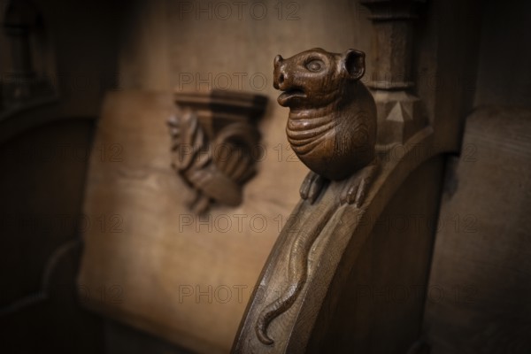 Mouse, oak choir stalls for monks' hour prayers, 1493 by Jörg Syrlin the Younger, also Sürlin or