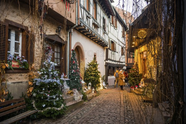 Christmassy decorated houses and alley with half-timbered houses, Christmas market, Eguisheim,