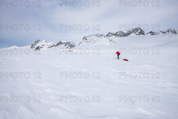 A tourist on a winter Arctic expedition skiing along Ikasartivaq Fjord, Sermersooq municipality,