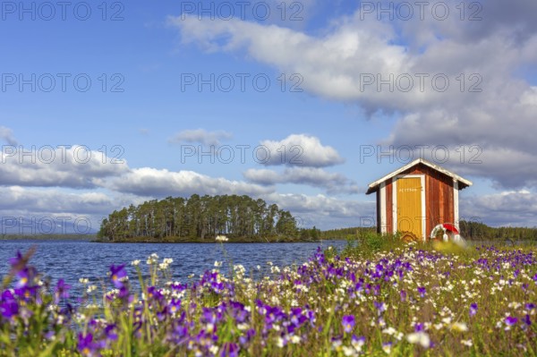 Colourful wildflowers and boathouse on the island Norderön in lake Storsjön in spring, Jämtland,