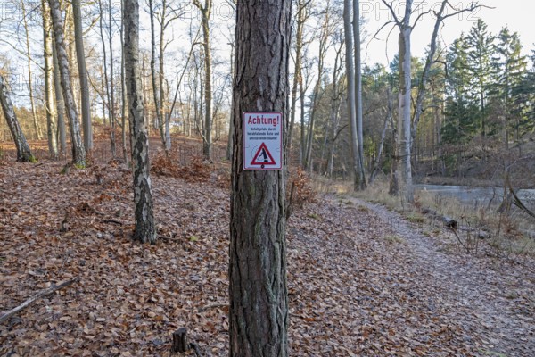 Warning sign warns of risk of accidents due to falling branches and falling trees, forest area near