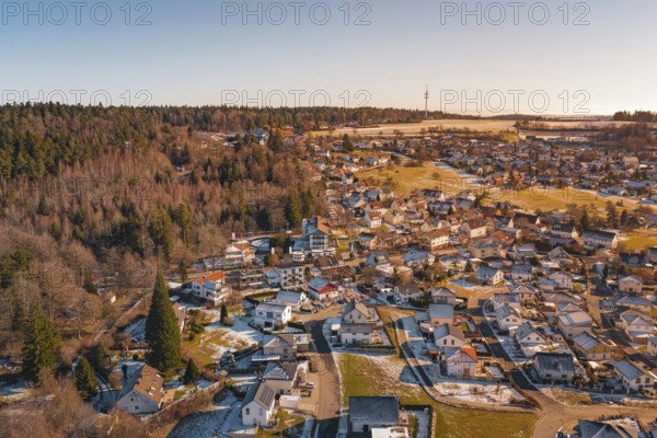 A village in the winter countryside, surrounded by forest and fields, with a distant antenna tower,