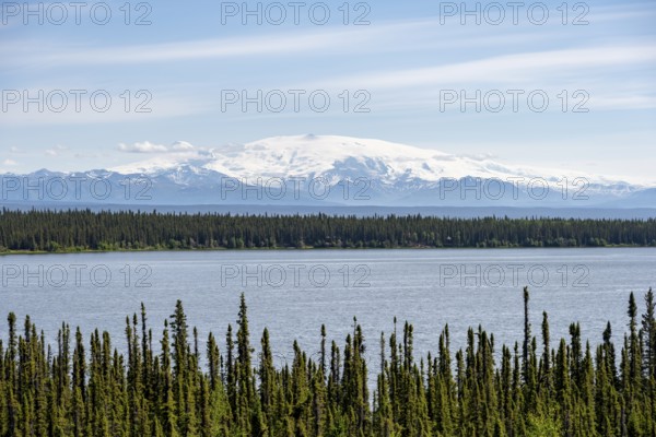 Lake Willow Lake, taiga landscape with high glaciated mountain peak Mount Wrangell, Wrangell