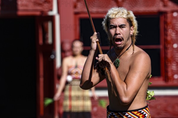 Maori man with strong expression at a welcoming ceremony in Rotorua, Rotorua, Bay of Plenty, New