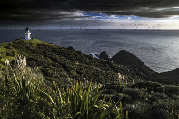 Lush coastal landscape near Cape Reinga with lighthouse and cloudscape, Cape Reinga, Northland, New