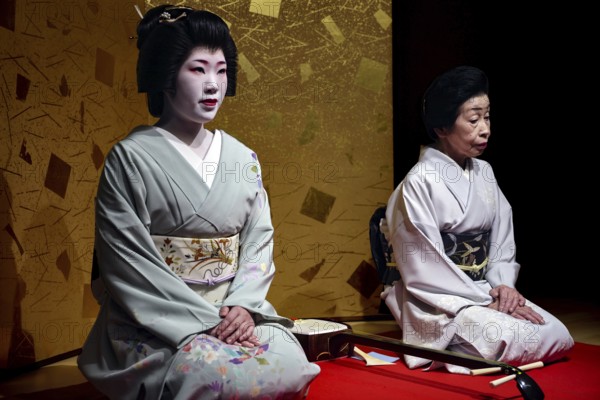 Two geishas sit next to each other in the Nishi Chaya tea house district in Kanazawa, Kanazawa,