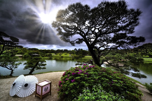 Painting view of Korakuen of Okayama Castle with bright sun and Japanese umbrellas, Okayama,