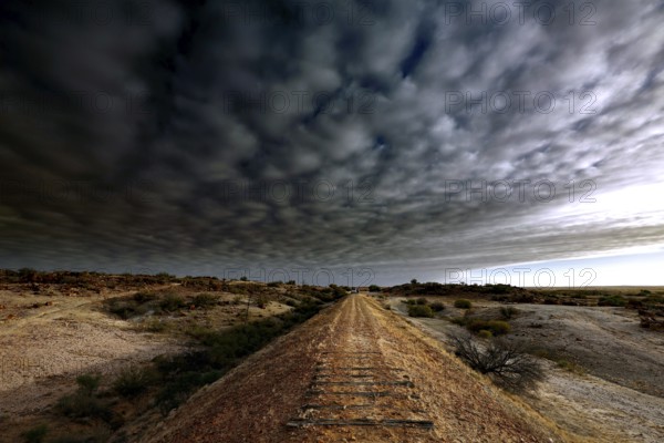 Railway track under dramatic cloud cover in the evening light of the Australian outback, Oodnadatta