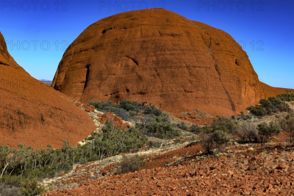 Large round rock formation with dense vegetation in the valley, Kata Tjuta, Northern Territory,