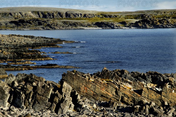 Rough coastline with rocks and sea under blue sky, N Hamningberg, zero