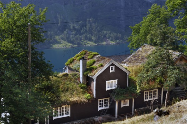 Traditional house with grass roof and views of Geiranger Fjord surrounded by nature,