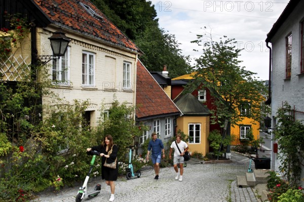Historic street with charming old wooden houses and lush vegetation, Oslo, Norway
