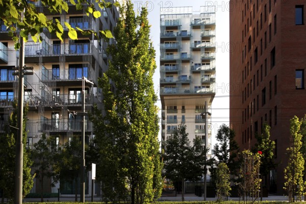Modern new buildings between trees in Oslo, urban ambiance under clear skies, Oslo, Bydel Gamle