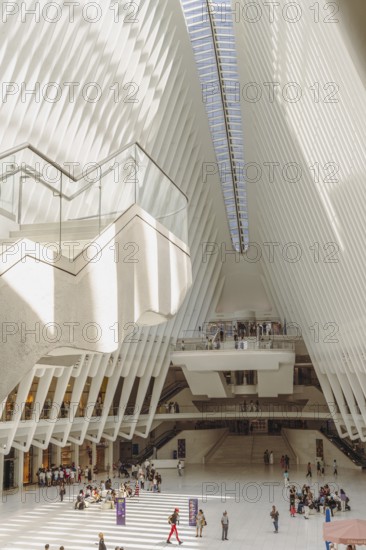 Oculus building, World Trade Center Transportation Hub, New York, USA