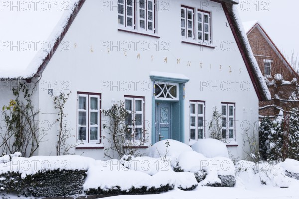 Decorative old thatched roof house covered with snow flurries in winter, Schleswig-Holstein,