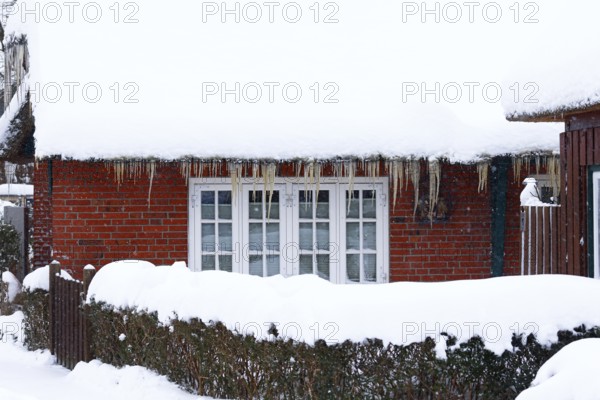 Icicles on an old thatched house covered with snow during snow flurries in winter,