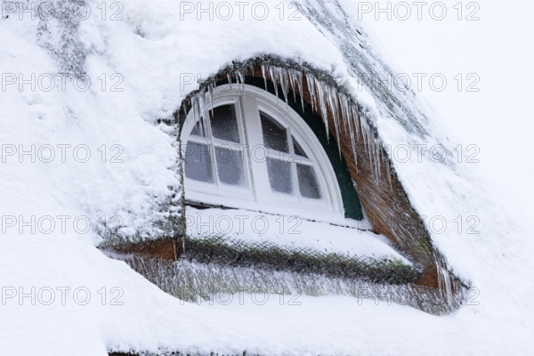 Icicles on a thatched roof covered with snow in front of an icy window in winter,