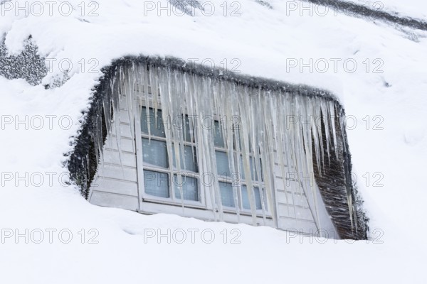 Icicles on a thatched roof covered with snow in front of a window in winter, Schleswig-Holstein,