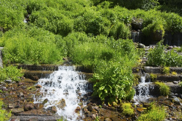 Small waterfall with lush green vegetation and rocky surroundings, Gudauri mineral water spring,