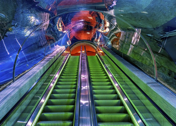Escalator under the largest aquarium in Dohar, 6 million liters capacity, at the old port and the
