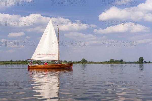 Sailing boat on Dümmer See, Oldenburger Münsterland, Dümmerlohhausen, Lower Saxony, Germany