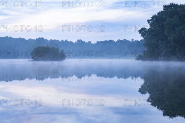 Daybreak with fog at blue hour in the Ahlhorner Fischteiche nature reserve of the Lower Saxony