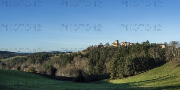 Saint Hilaire village. Natural regional park of Livradois Forez. Interior of Roman church