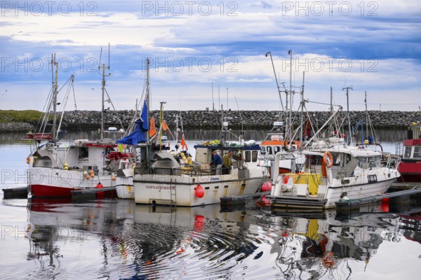 Fishing boats Fishing vessels are moored in Berlevag harbour in the north of the Varanger Peninsula