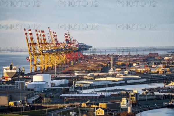 MSC and Eurogate container terminal in the seaport of Bremerhaven, Eurogate container terminal with