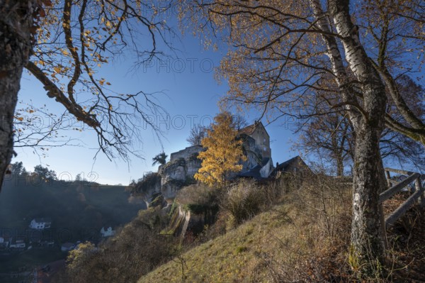 Autumnal birch (Betula) in front of Pottenstein Castle, created around 1070, Pottenstein, Upper