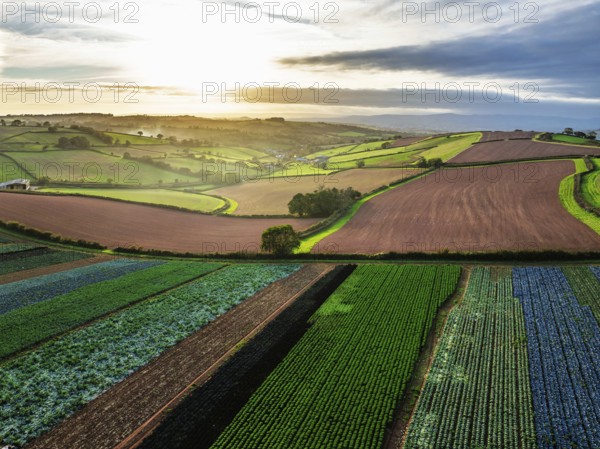 Colours of autumn Fields and Farms over Sheldon from a drone, Torbay, Devon, England, United
