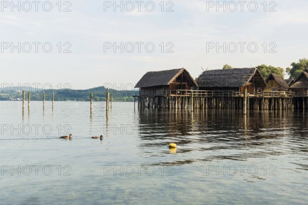 Stilt houses, Unteruhldingen stilt building museum, UNESCO cultural heritage, Uhldingen-Mühlhofen,