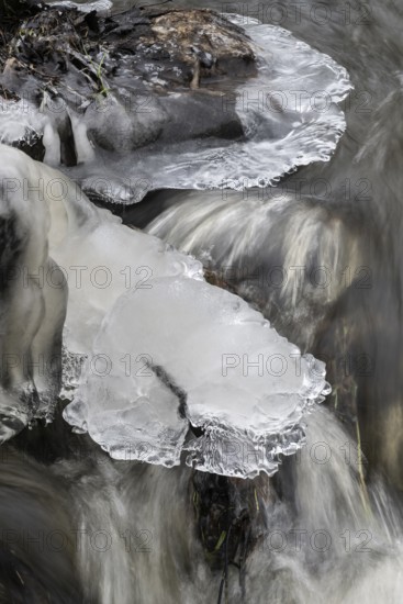 Natural ice sculptures on a stream, Emsland, Lower Saxony, Germany