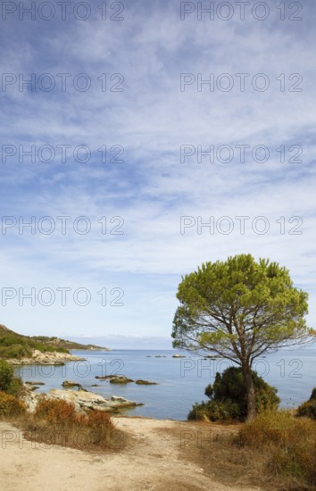 Desert des Agriates or Agriates desert on the Gulf of Saint-Florent in the Mediterranean,