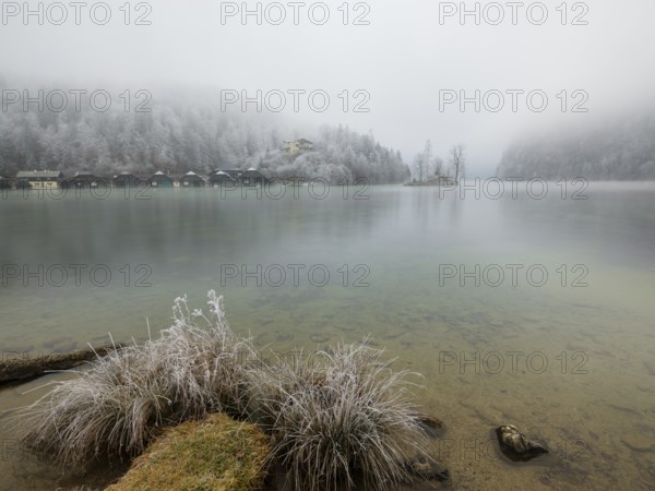 View across Königssee to boathouses, Christlieger island and frozen trees in fog, Schönau am