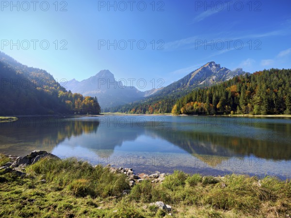 Autumn-colored forest is reflected in Obersee, Näfels, Canton of Glarus, Switzerland