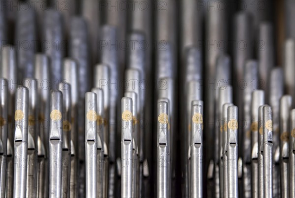Organ pipes, Saint Giles or market church St. Aegidien, Osterode, Upper Harz region, Lower Saxony,