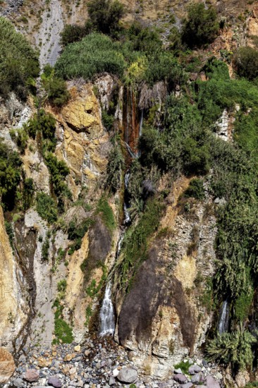 Waterfall flowing among green shrubs and rocks, The landscape of the Colca Canyon in the Andes of